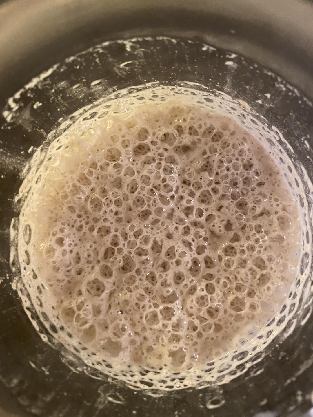 天然酵母养成记（黑麦版）