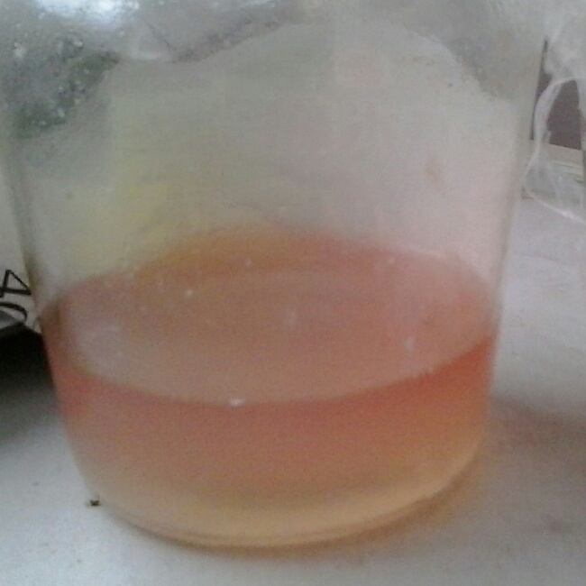 自酿葡萄酒