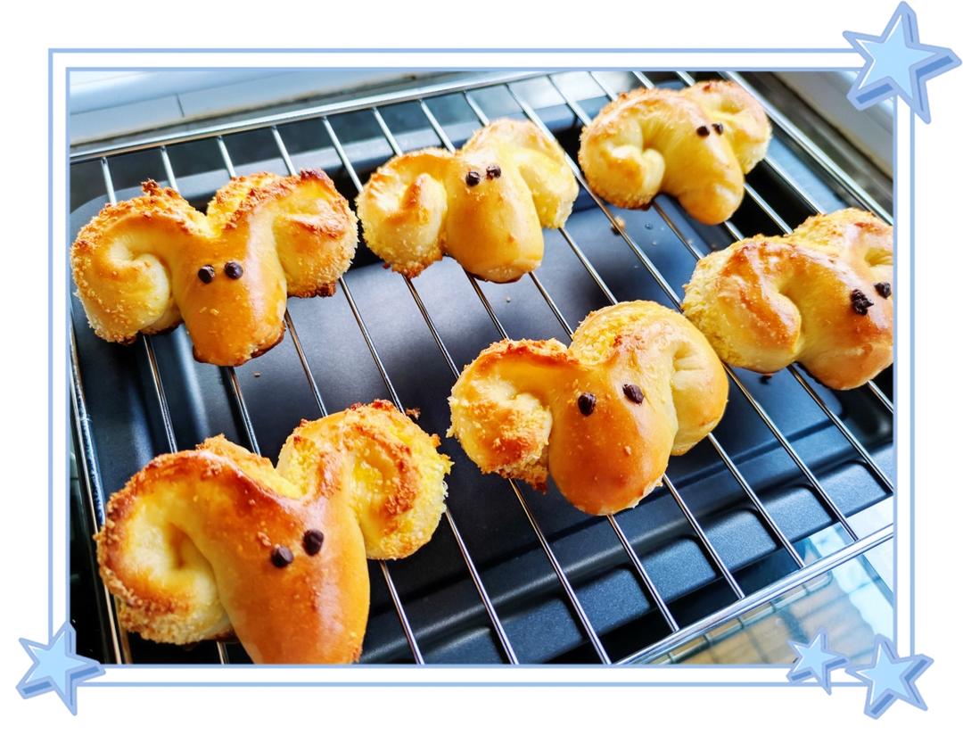 椰蓉小羊or椰蓉小章鱼🐙