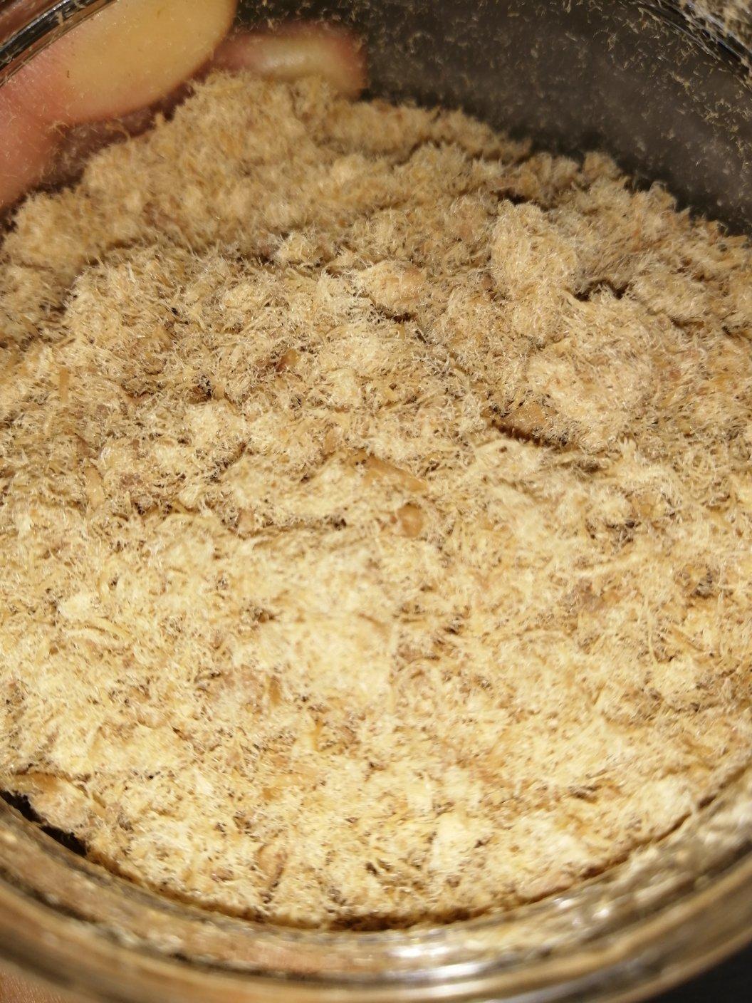 自制肉松宝宝辅食肉松―厨师机版