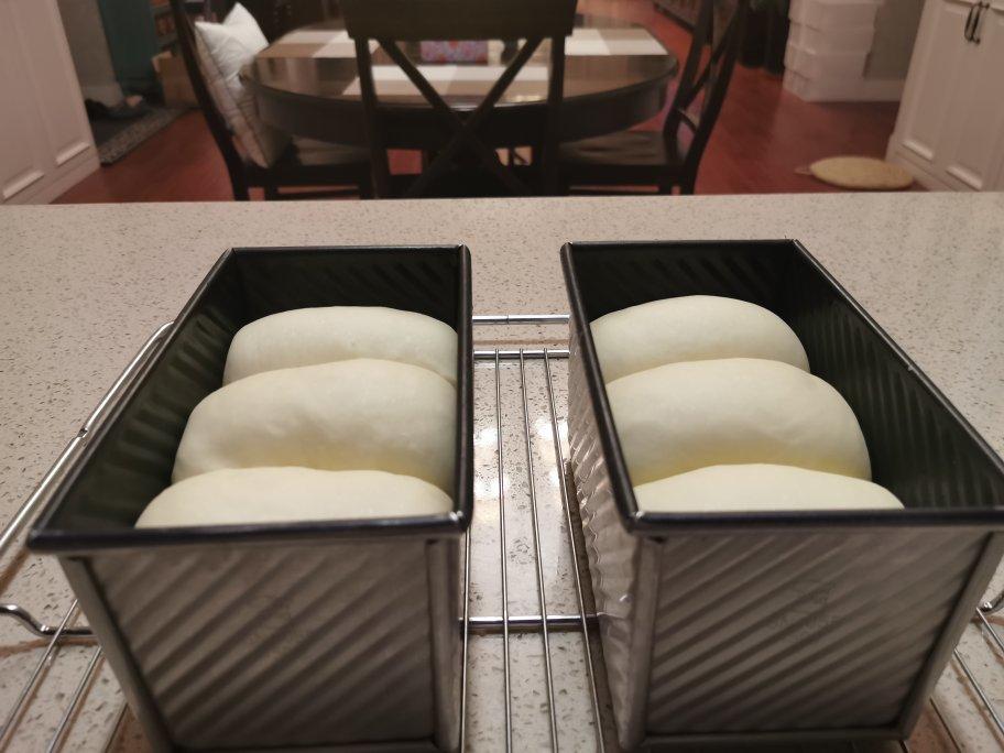 吐司面包（一次发酵）