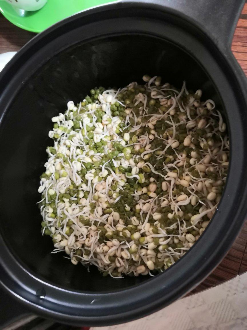 古方泡发绿豆芽