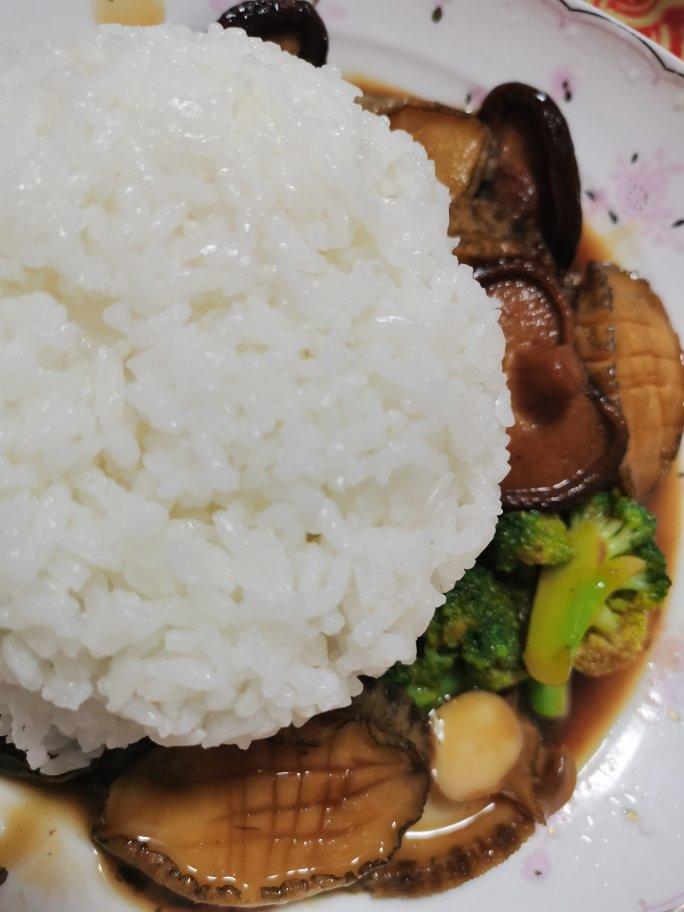鲍鱼捞饭