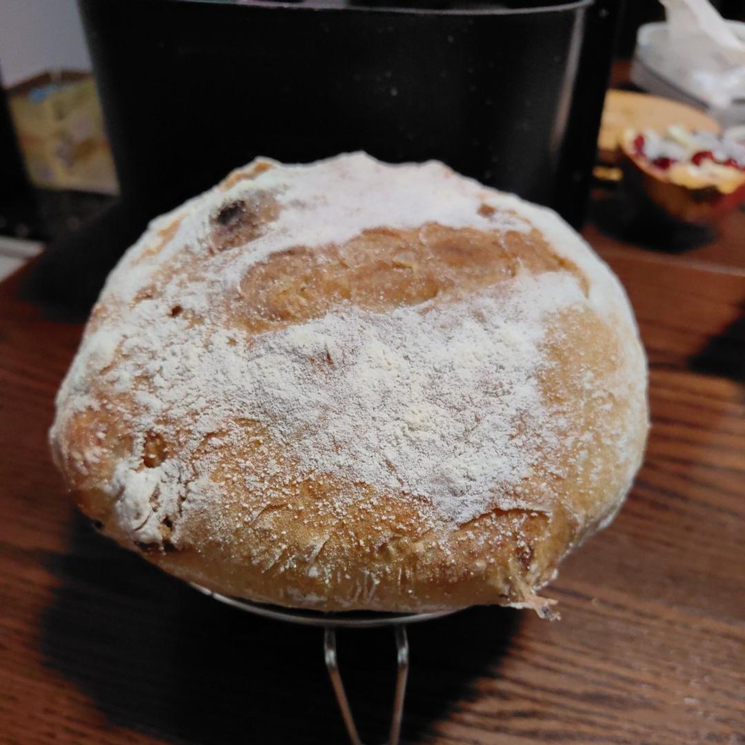 欧包的秘密（免揉/大孔洞/核桃/超简单）