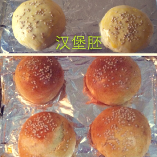 汉堡（基础汉堡胚做法）