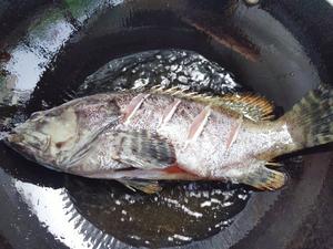 干烧龙胆石斑鱼的做法 步骤8