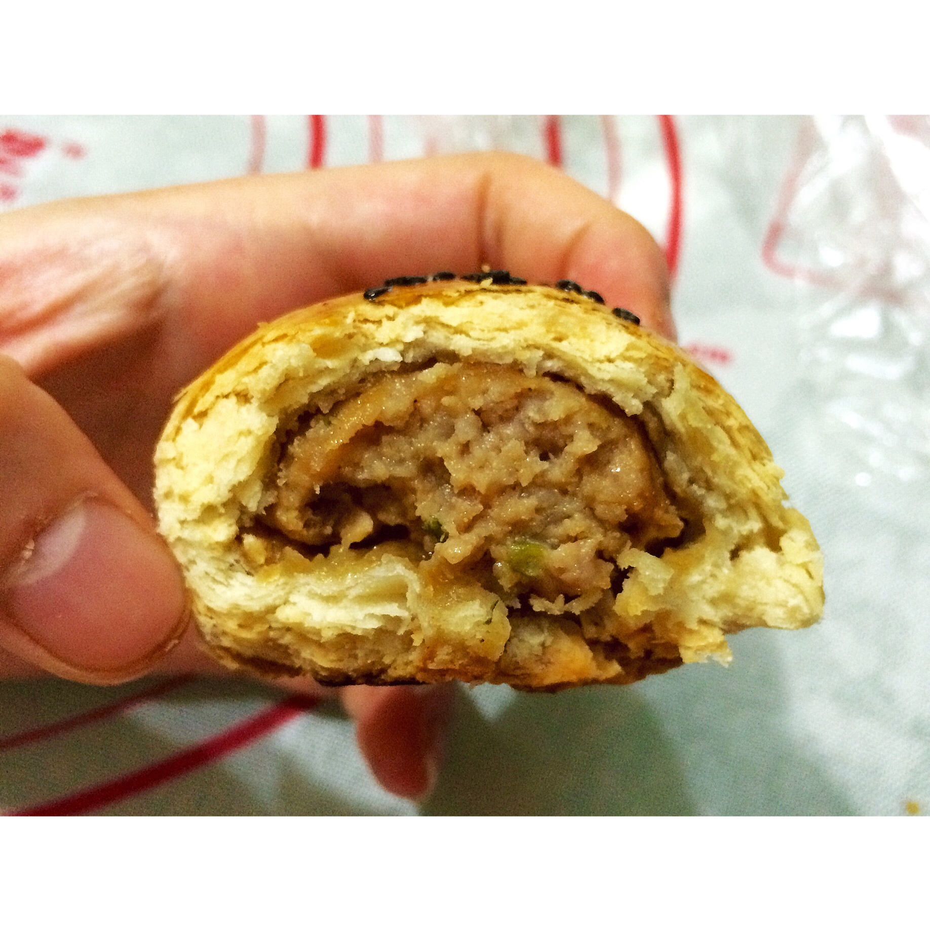 泳式鲜肉榨菜月饼