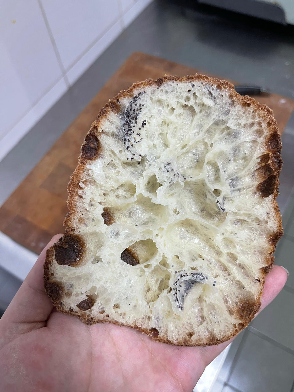 Ciabatta 恰巴塔面包 无揉 写给新手第一次接触高含水量面团的方子80%+含水量