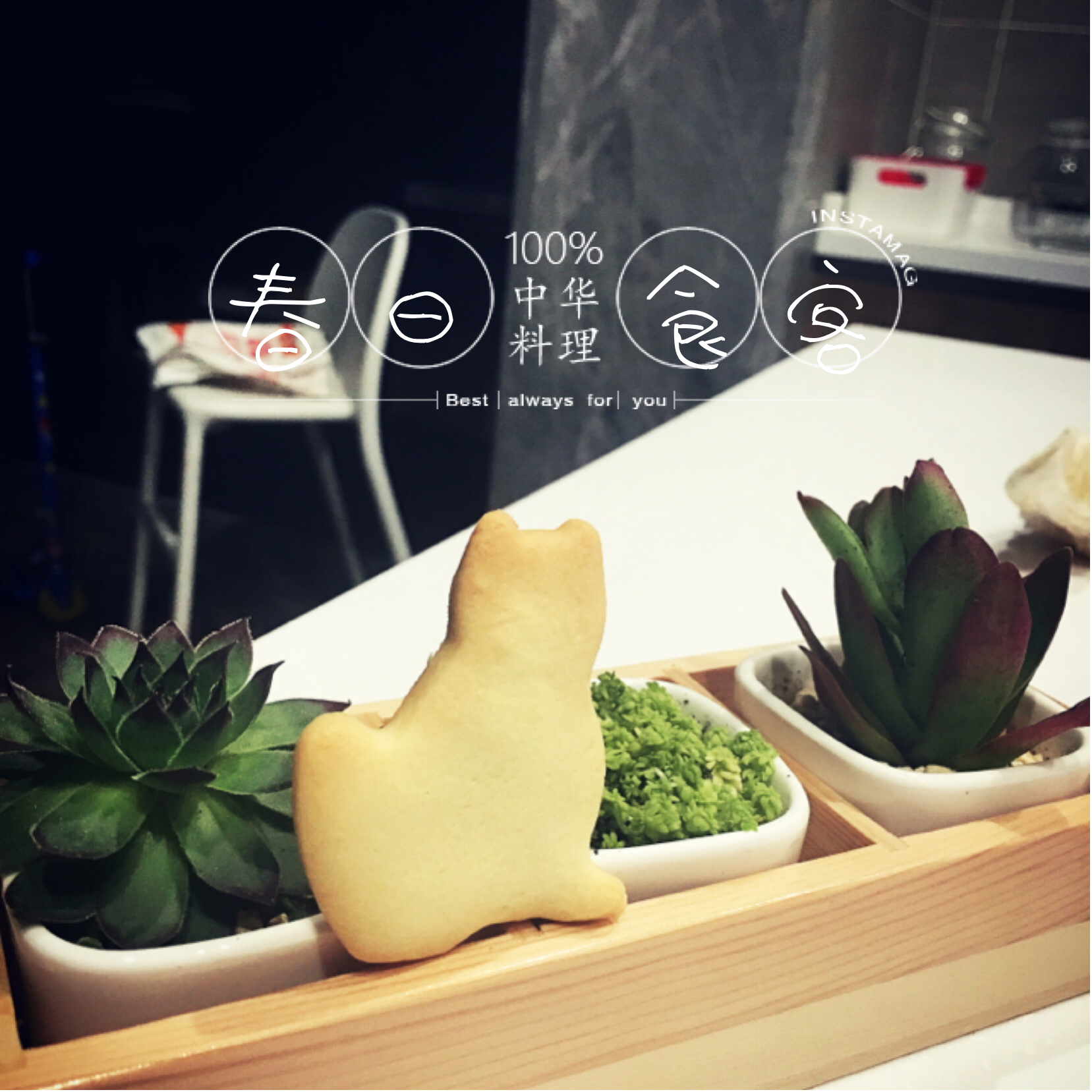 超简单！好吃又平整的糖霜饼干底的做法（附贴心小提示哦）