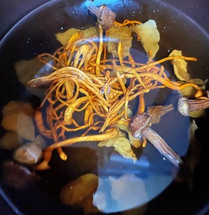 珍珠菇姬松茸海参鸽子汤的做法 步骤3
