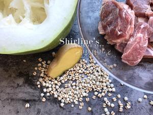 冬瓜瘦肉薏仁汤的做法 步骤1