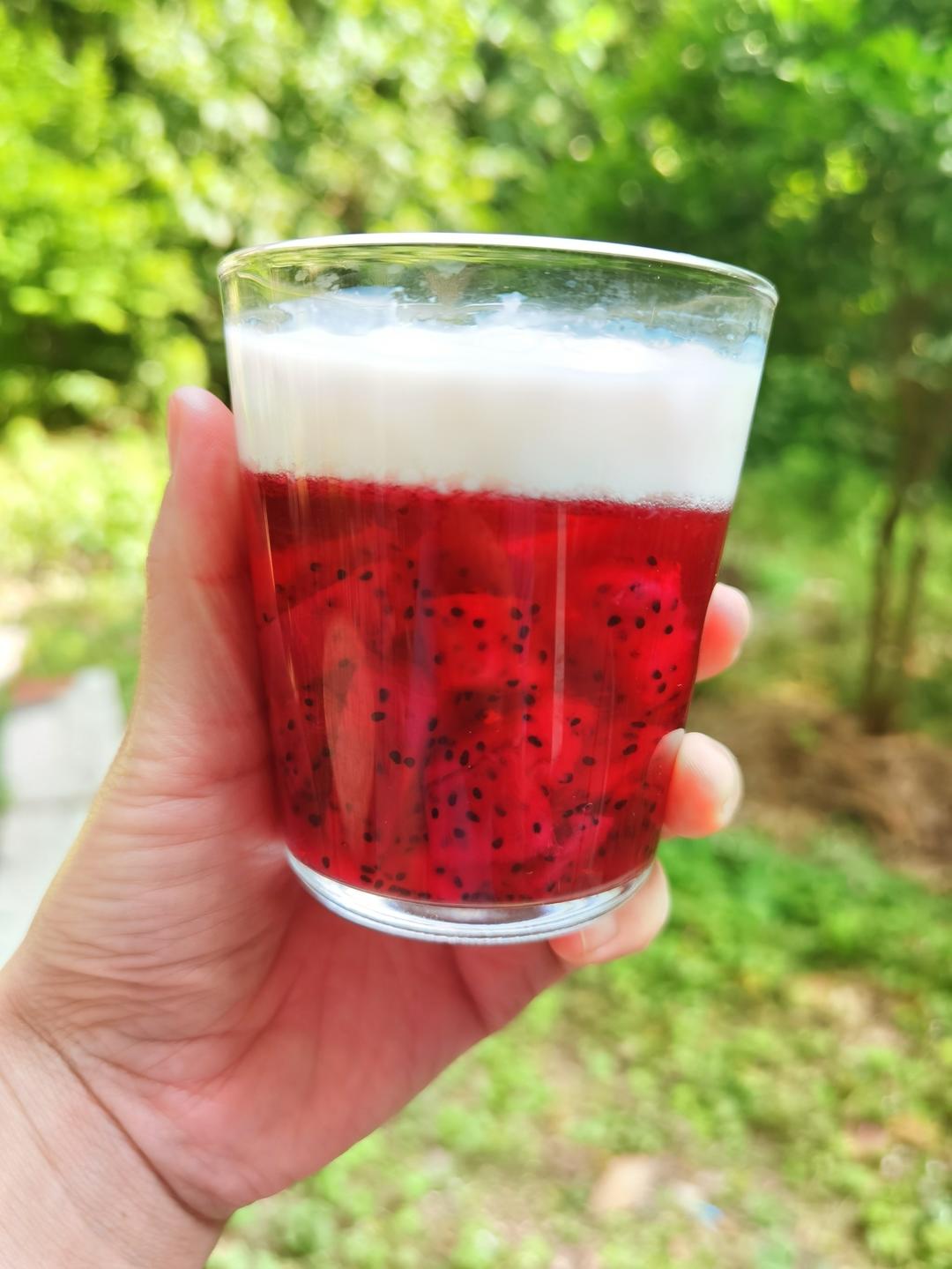 火龙果冻撞奶