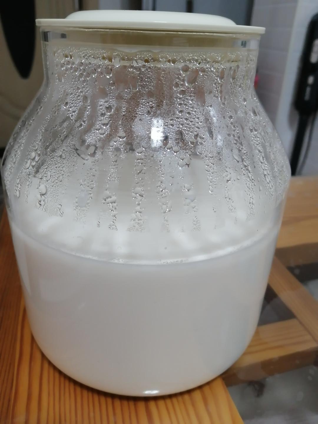 酸奶机自制酸奶