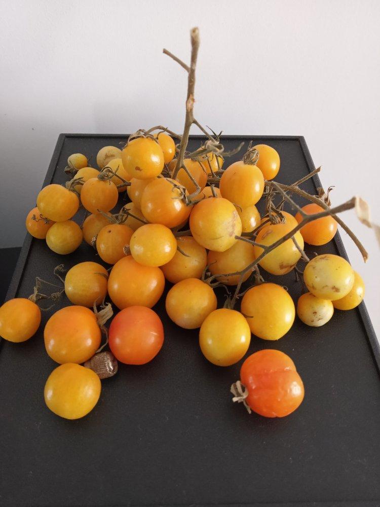 酸酸甜甜，夏季解暑之话梅小番茄🍅