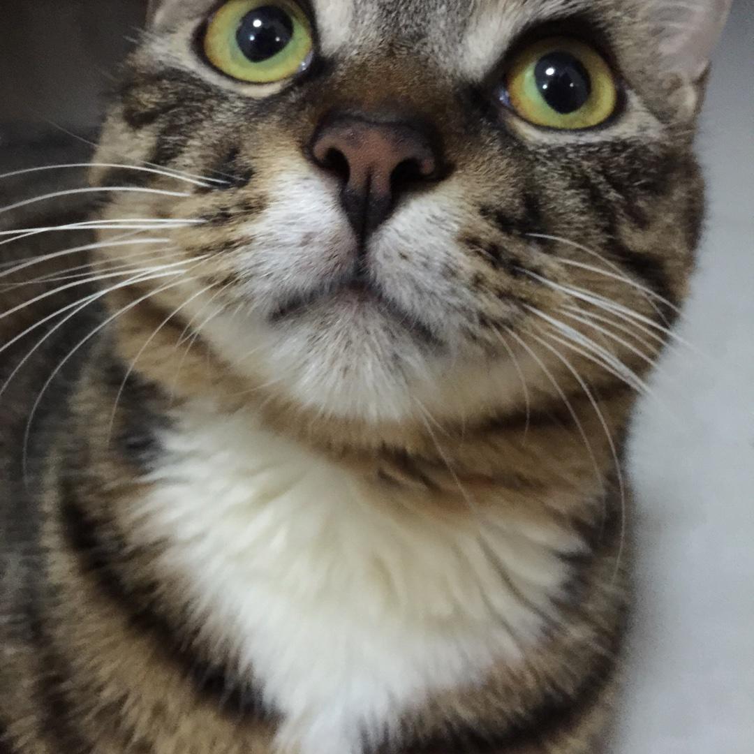 二九二九一十八