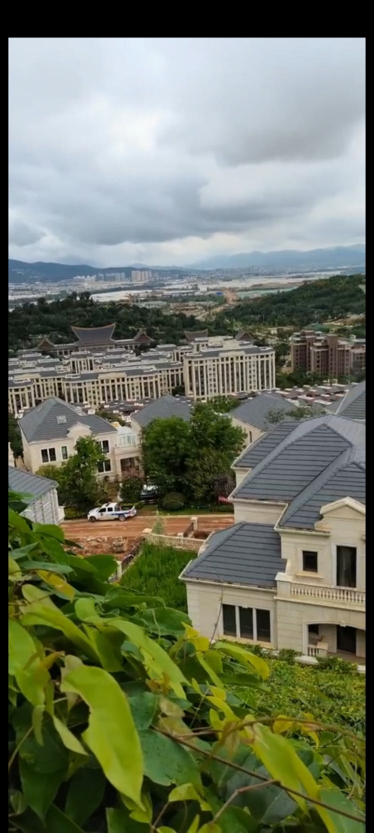 我厨艺真好