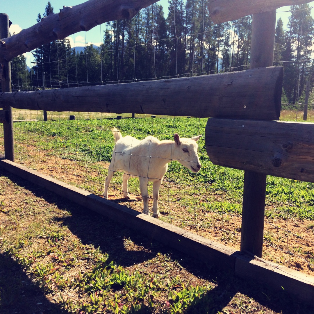 手机用户2844_utq4