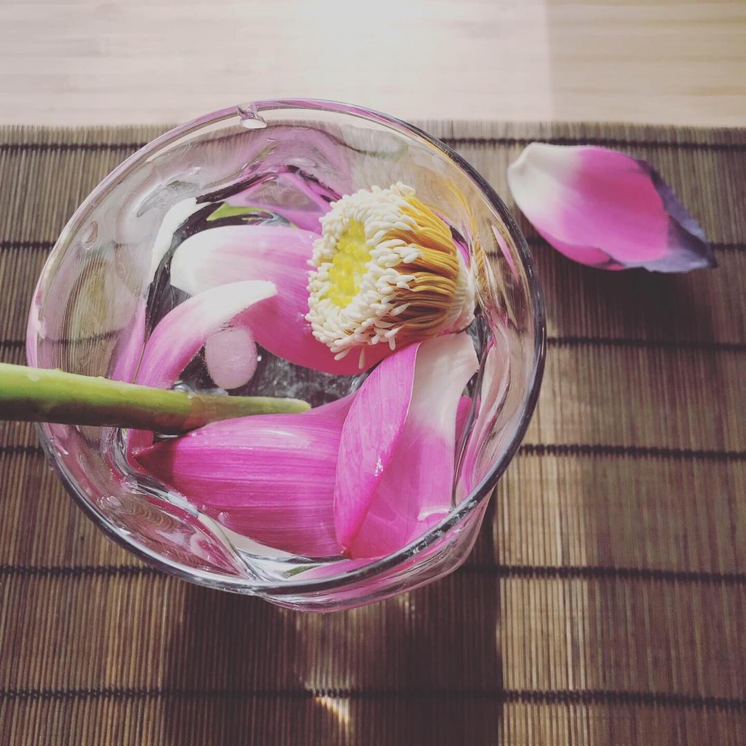 荷花茶