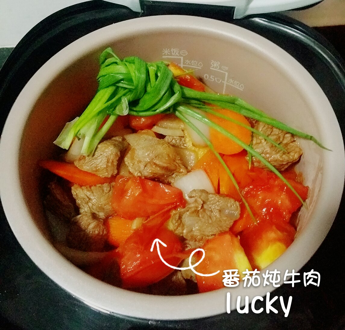 番茄炖牛腩 Chinese Beef And Tomato Stew