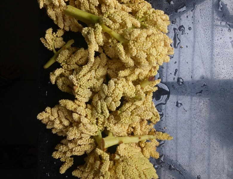 步骤图 蒜香棕榈花的做法 蒜香棕榈花的做法步骤 菜谱 下厨房 步骤图 蒜香棕榈花的做法 蒜香棕榈花的做法步骤 菜谱 下厨房