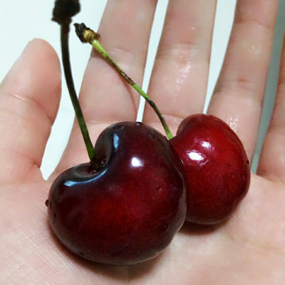 我发誓我再也不换ID了