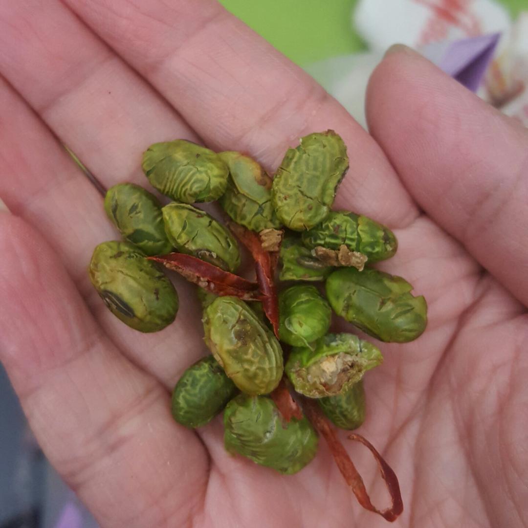 熏毛豆（炙毛豆）