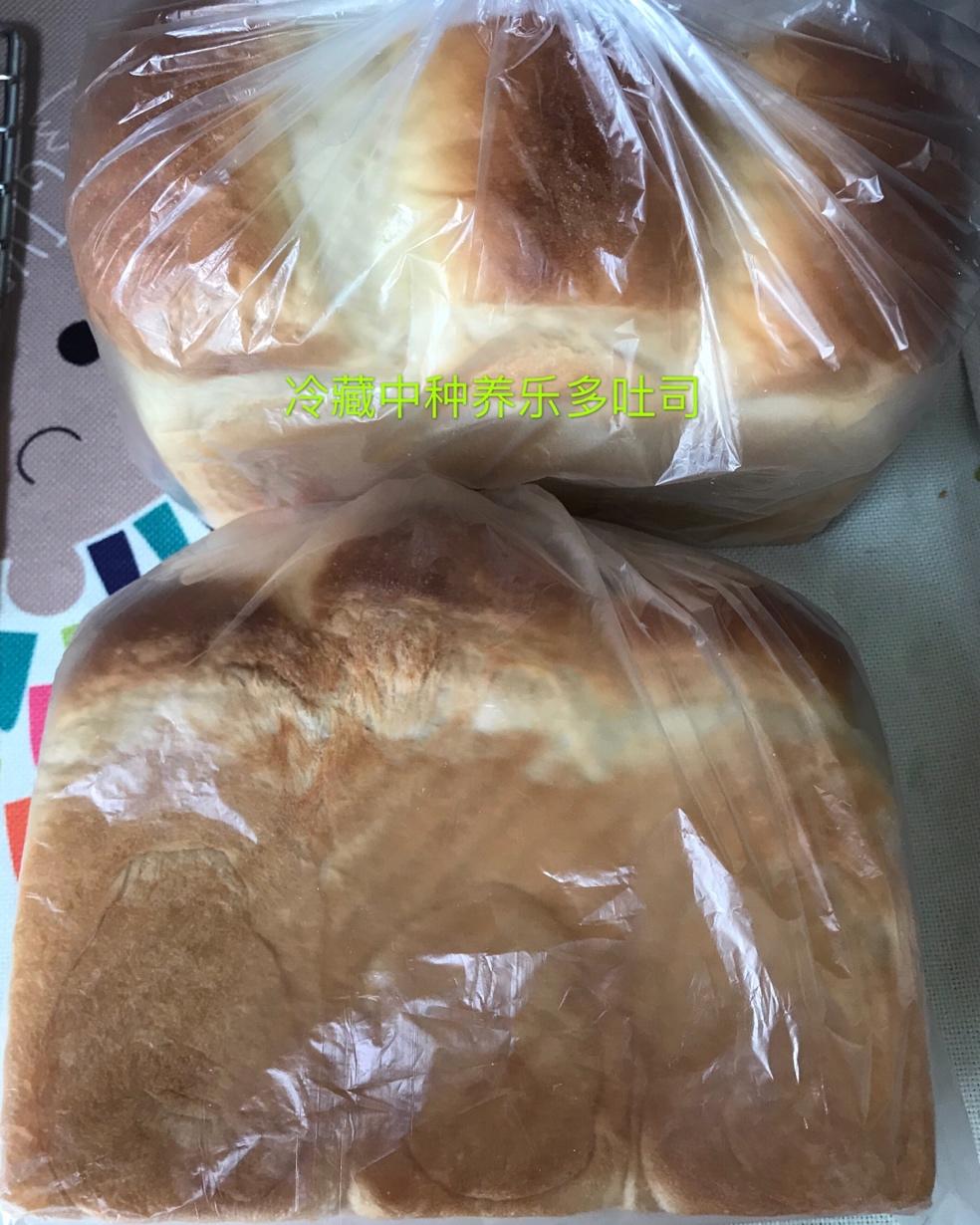 冷藏中种养乐多吐司