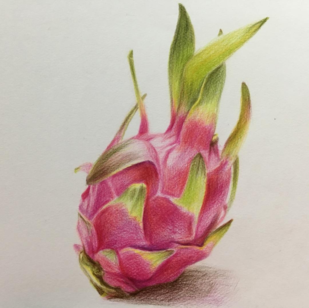 昕成8