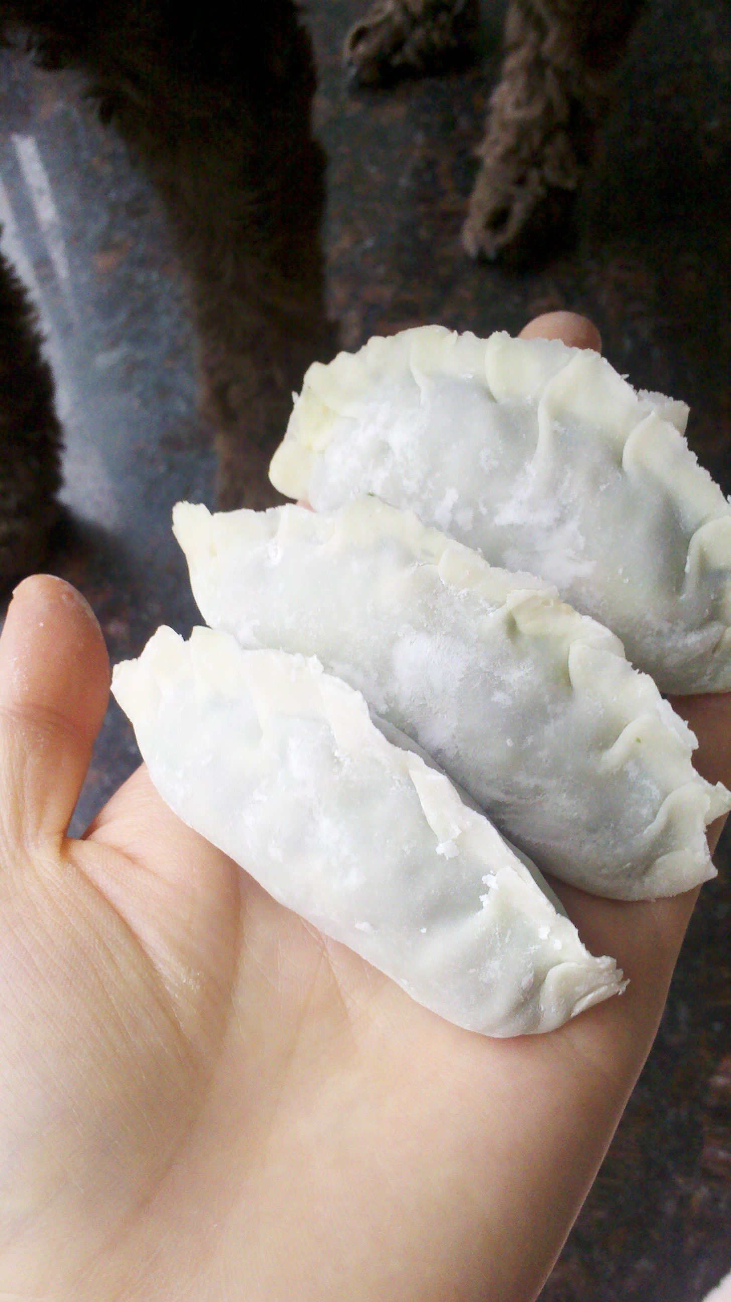 芹菜猪肉饺