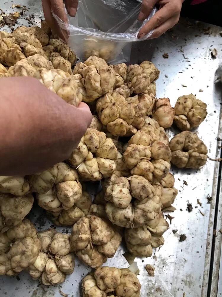 鲜花和美食装扮的生活