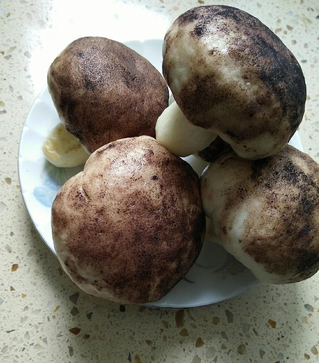 蘑菇包
