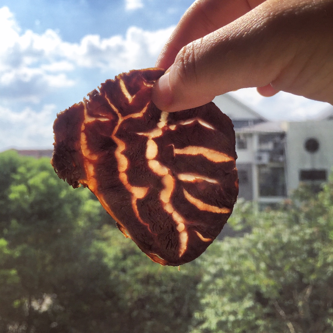 老妈秘制卤牛肉（附老卤养护大法）