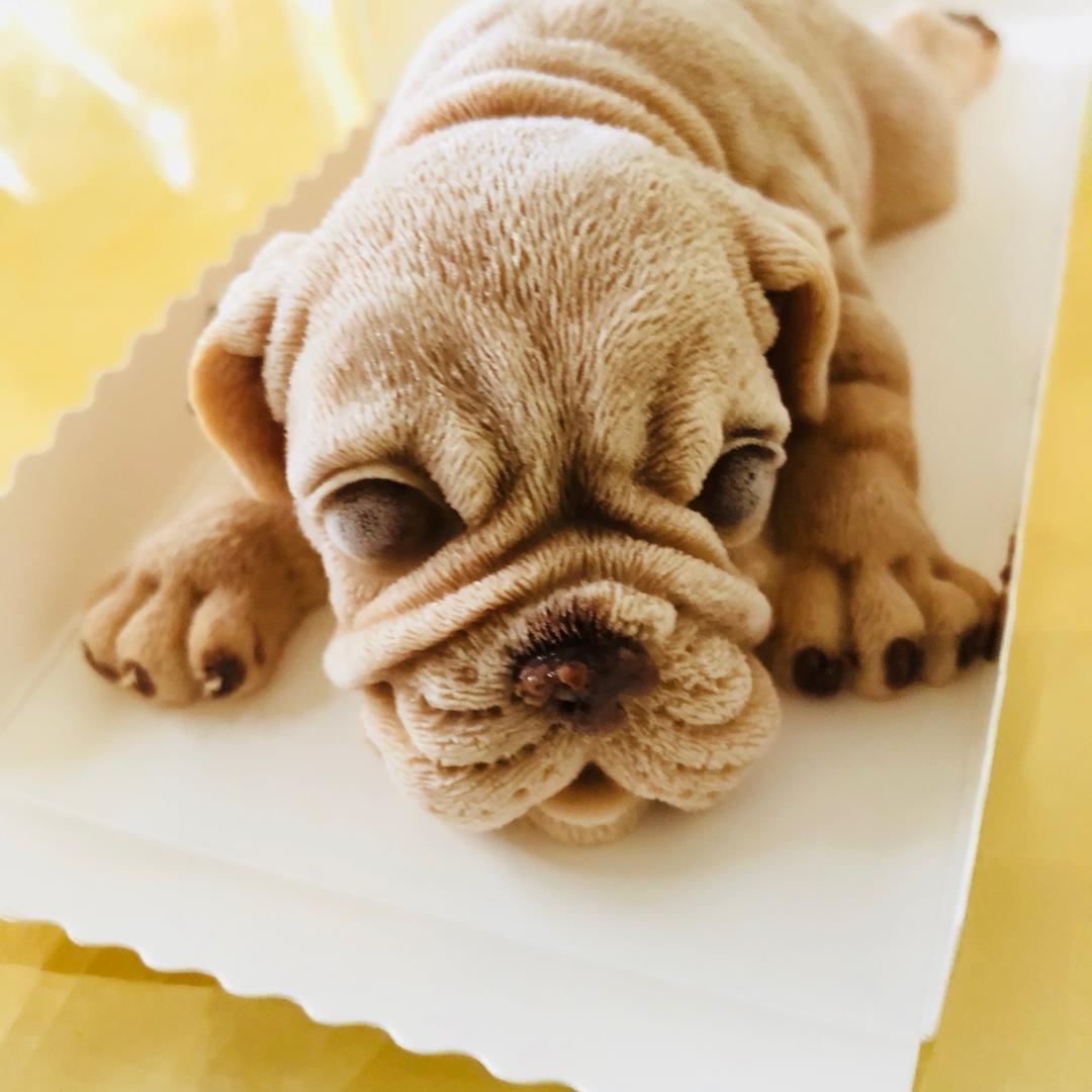 爆红宇宙的沙皮狗慕斯冰淇淋