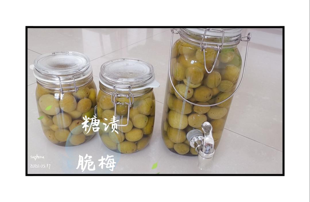 【自制脆梅】梅酒的副产品