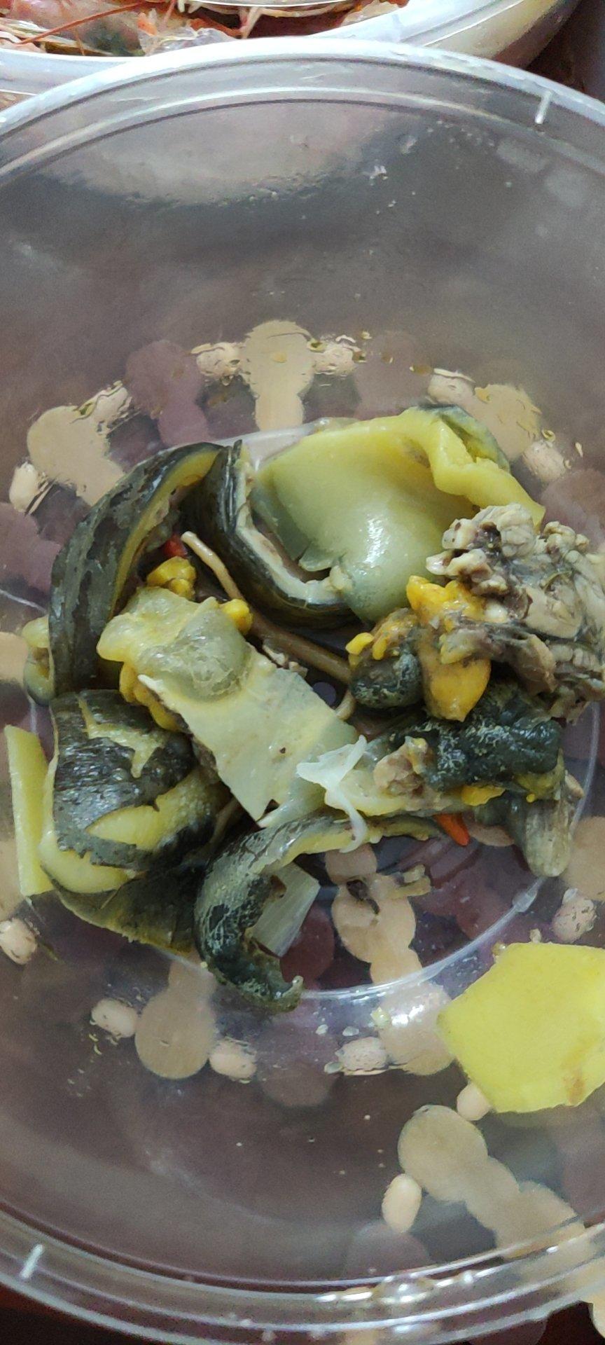 清炖野生甲鱼汤