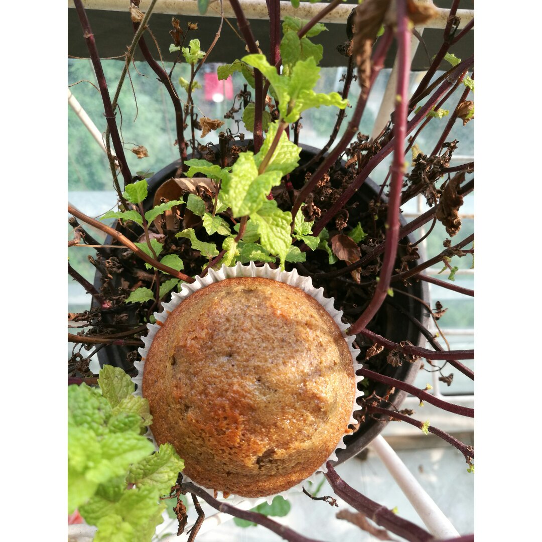 三重黑芝麻杯子蛋糕