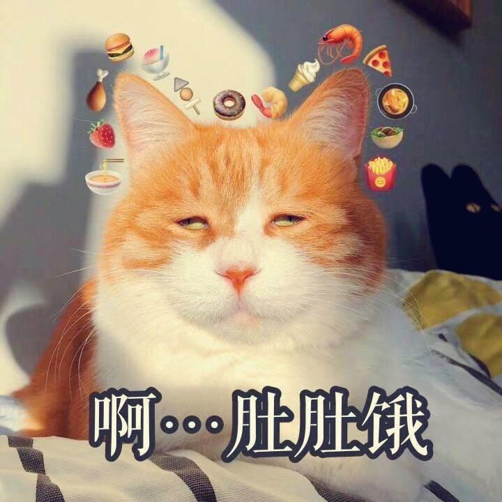 大脚板儿小盆友