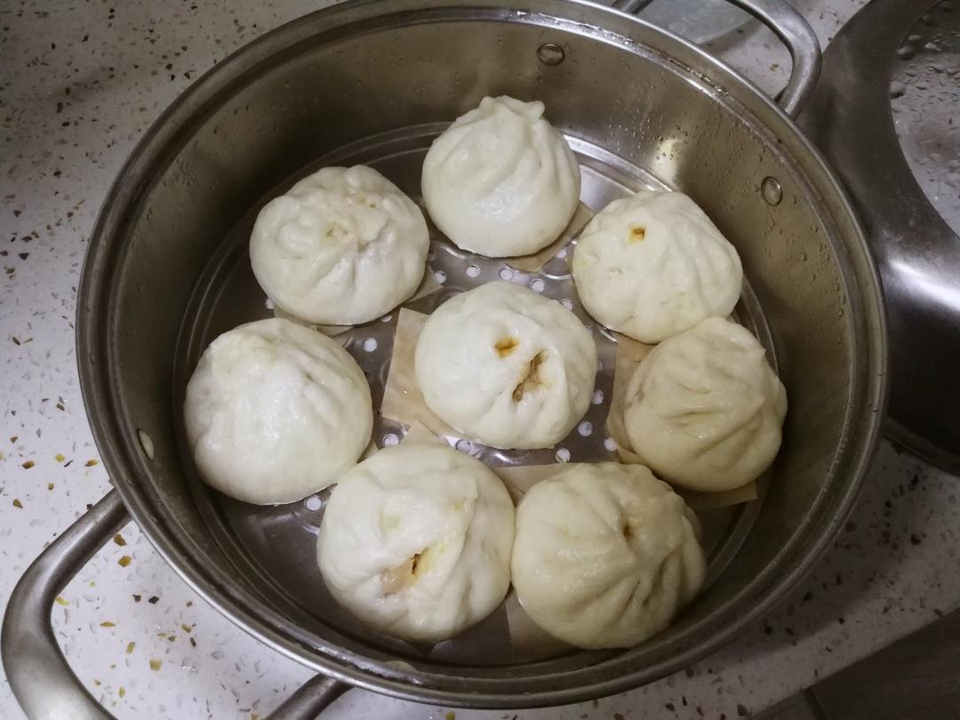 一次发酵肉包子