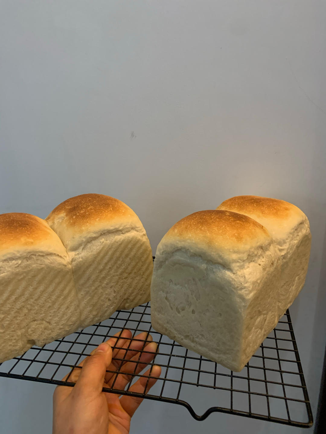 英式白吐司 脆皮吐司   （打面出膜视频）