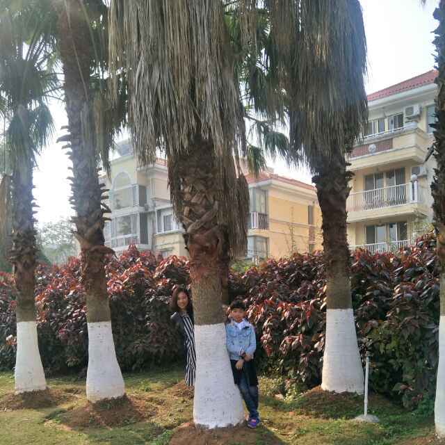 施施_t8ce
