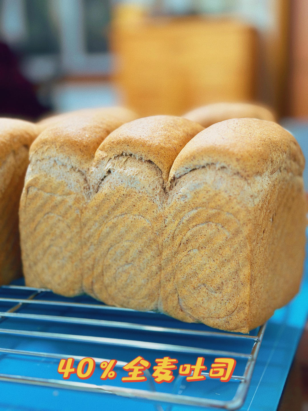 日式全麦吐司