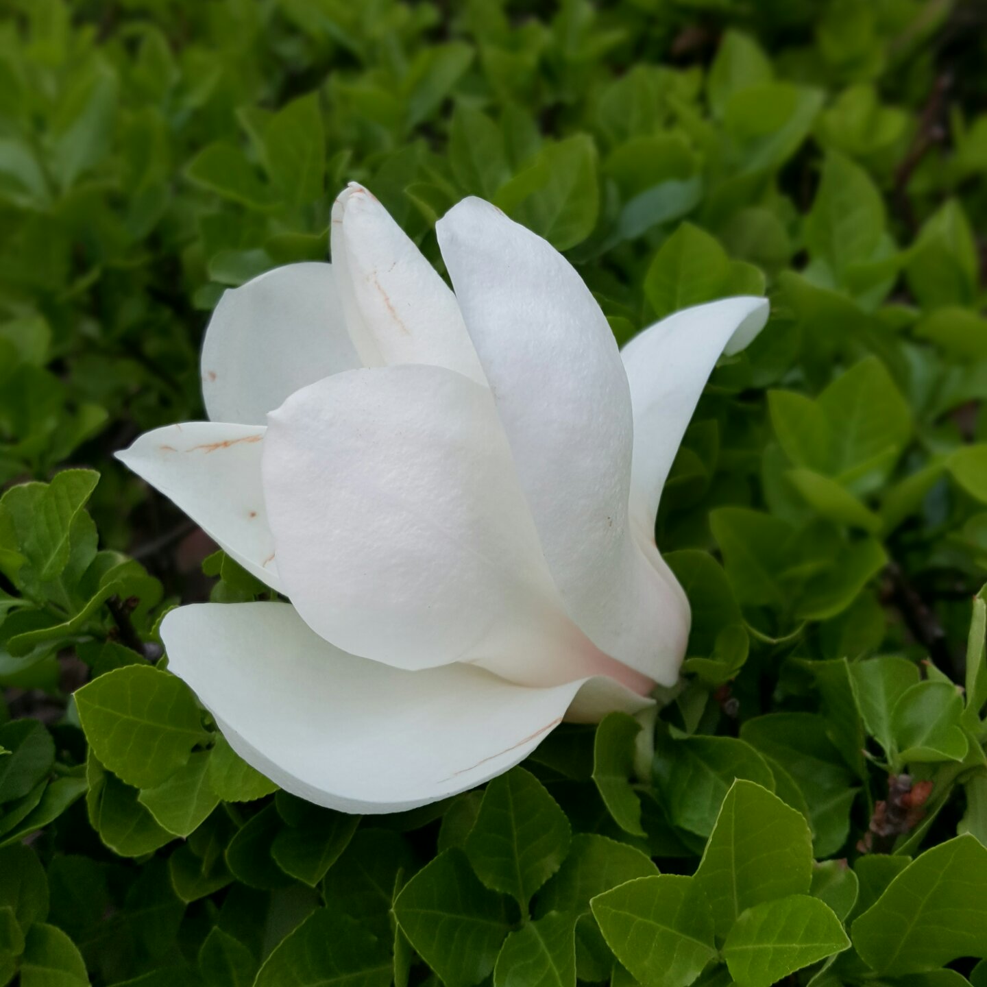 手机用户q5fa