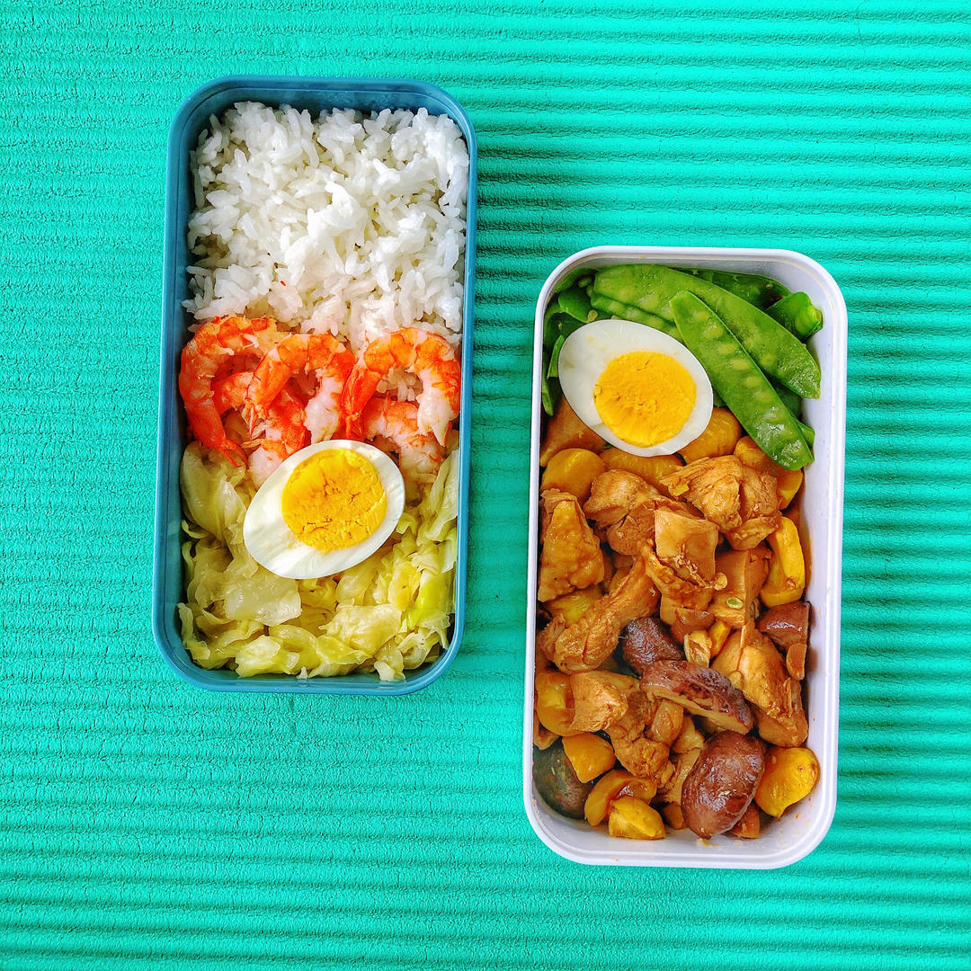 便当🍱日记