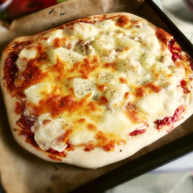 自家制pizza