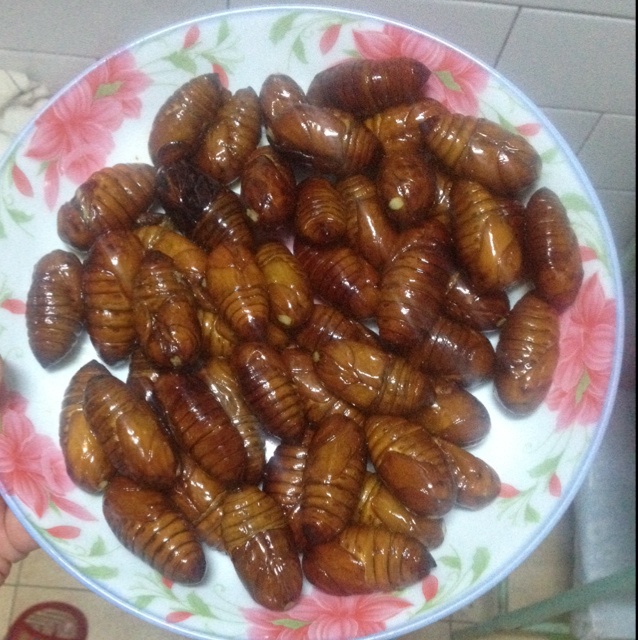 家常炒茧蛹