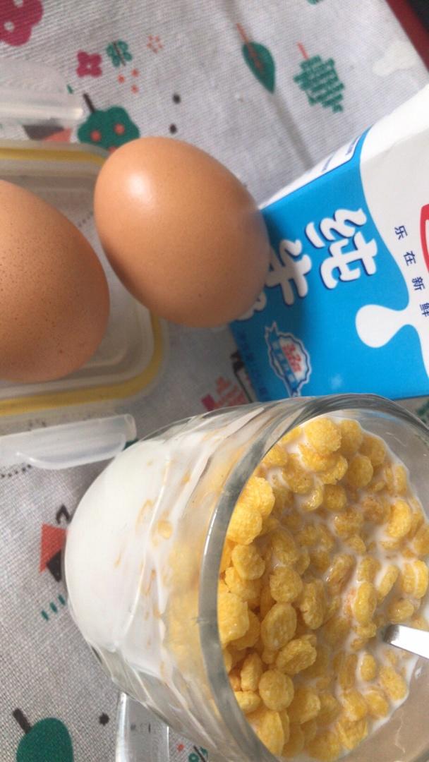 减肥期间饮食记录