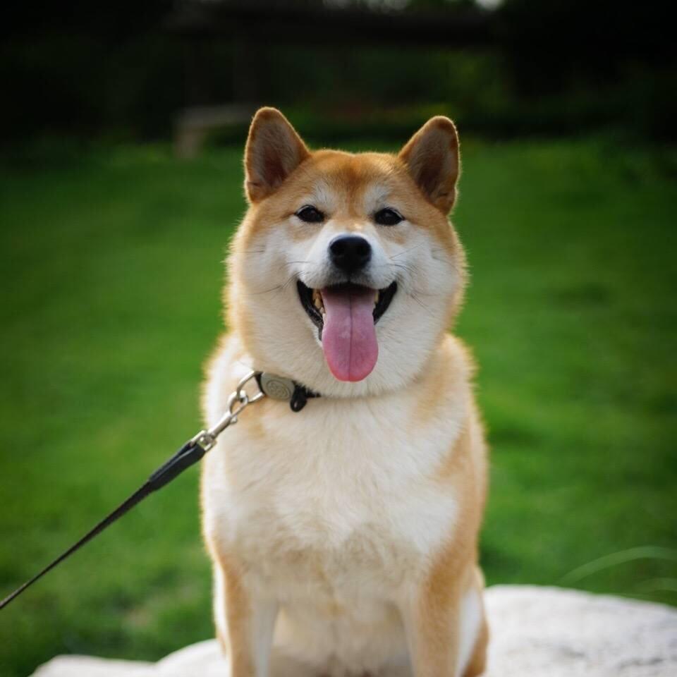 吃吃吃吃吃吃12345