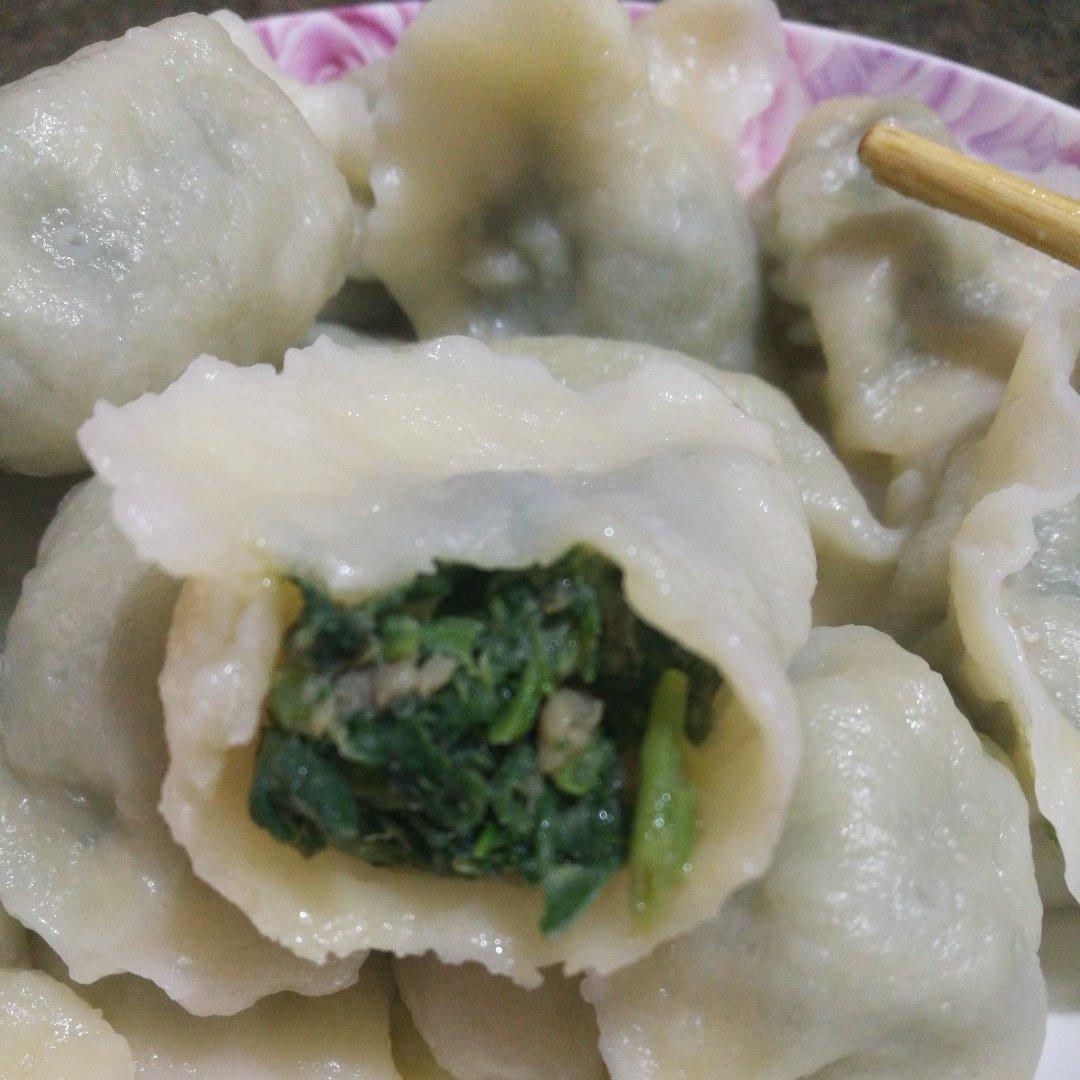 风景叮咚888888做的面条菜大肉饺子——春光烂漫野菜香