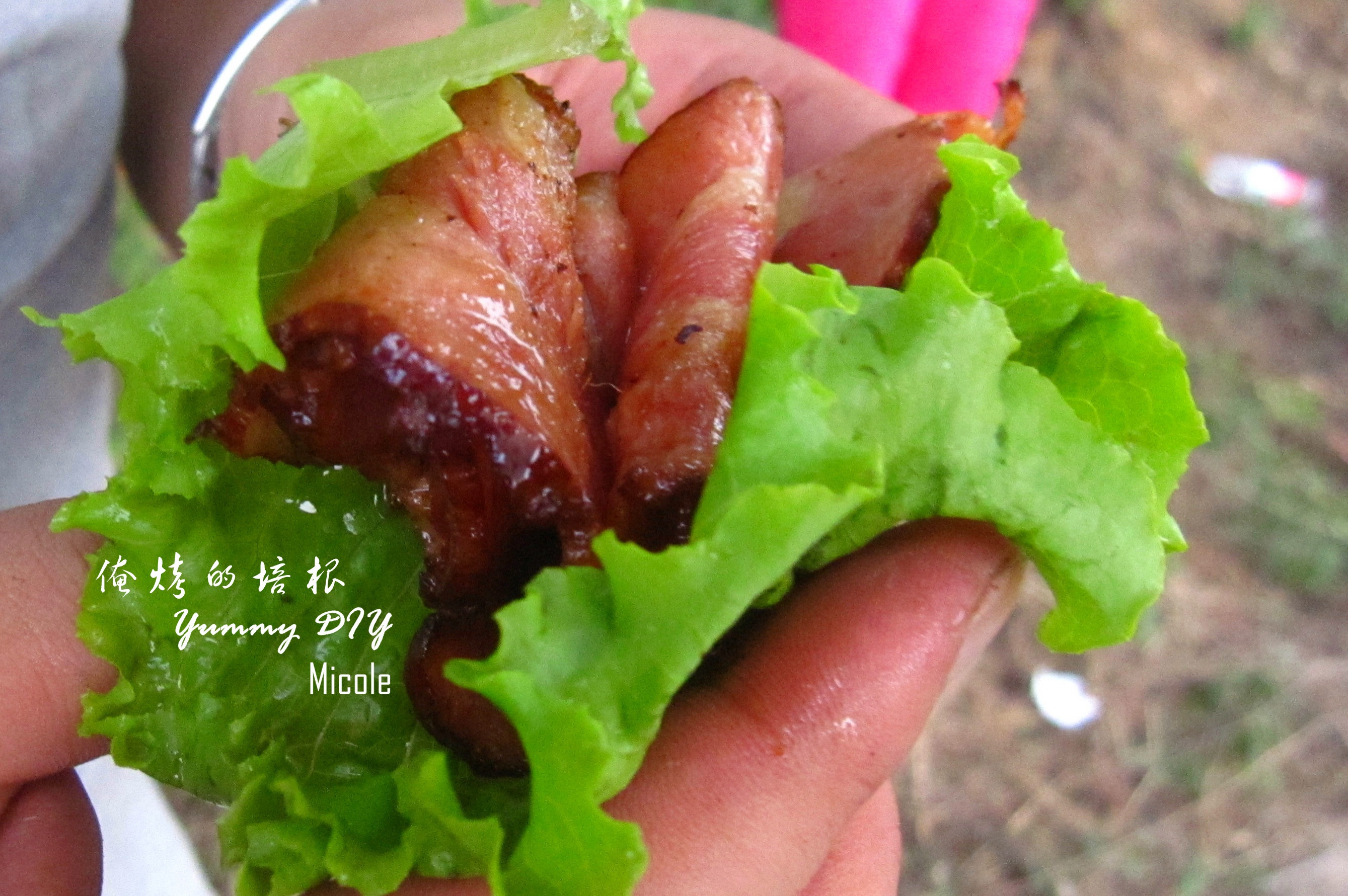 叉烧烤肉串