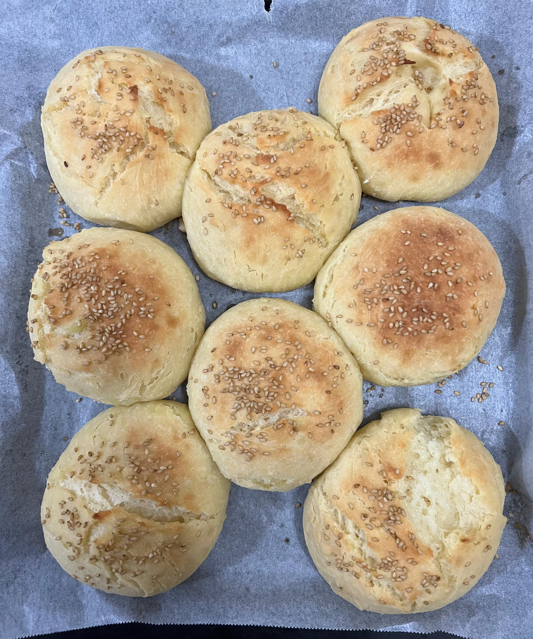 在家复刻Shake Shack芝士蘑菇堡🍔